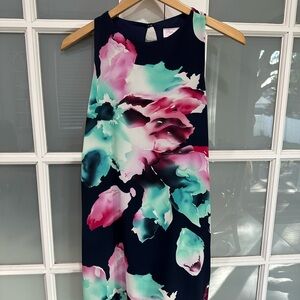 Pink Lily Floral Mini Dress - Navy and Pink